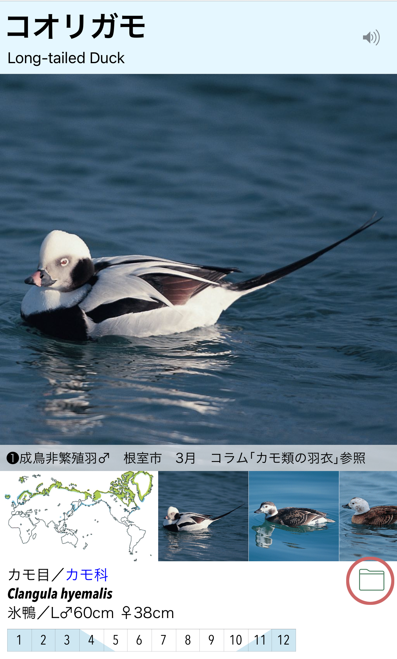 基本的な使い方