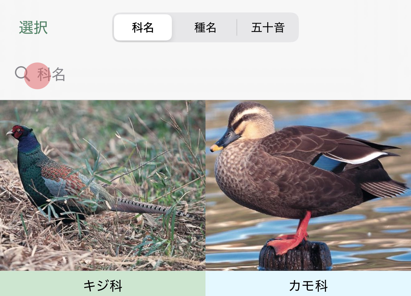 基本的な使い方