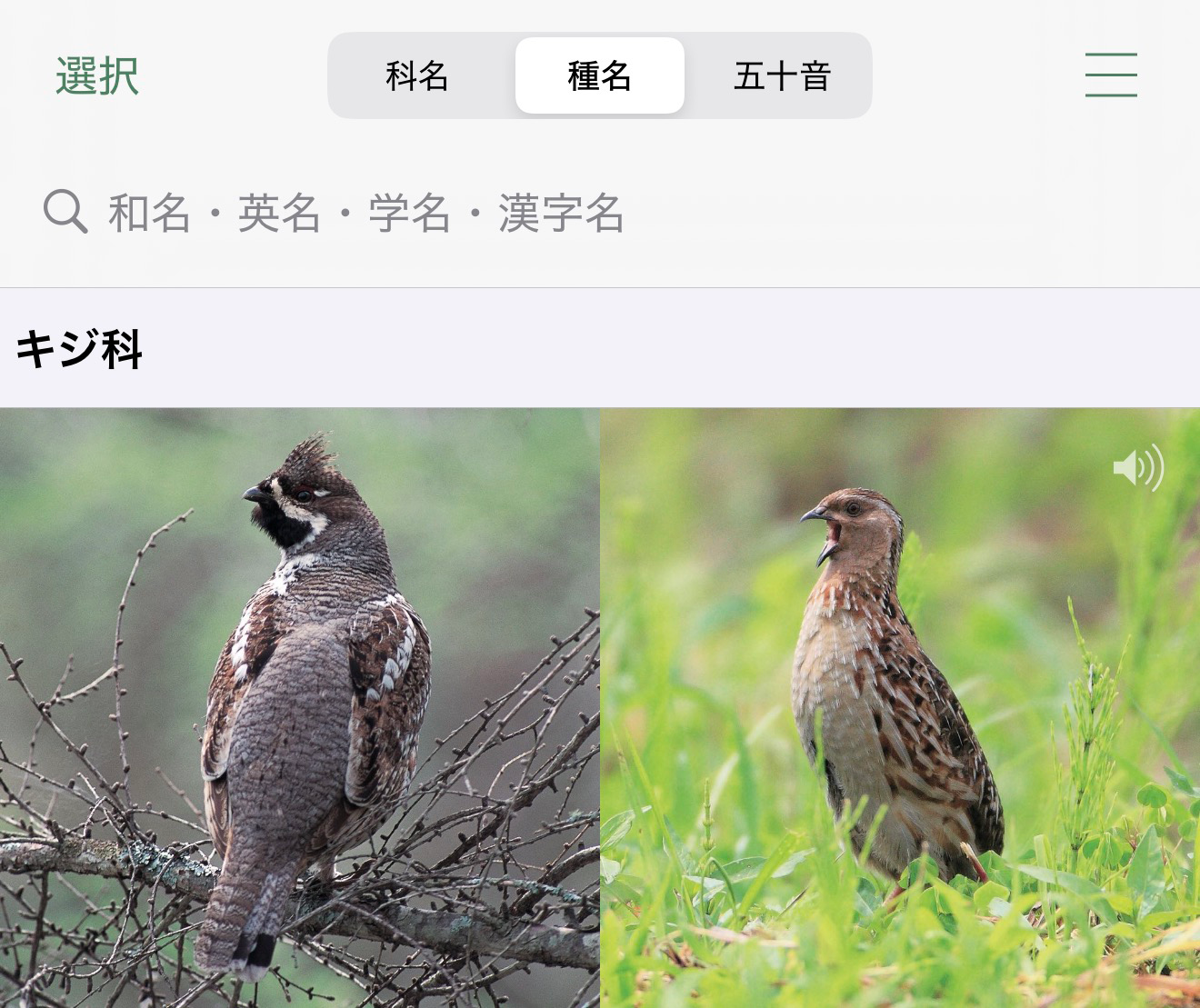 基本的な使い方