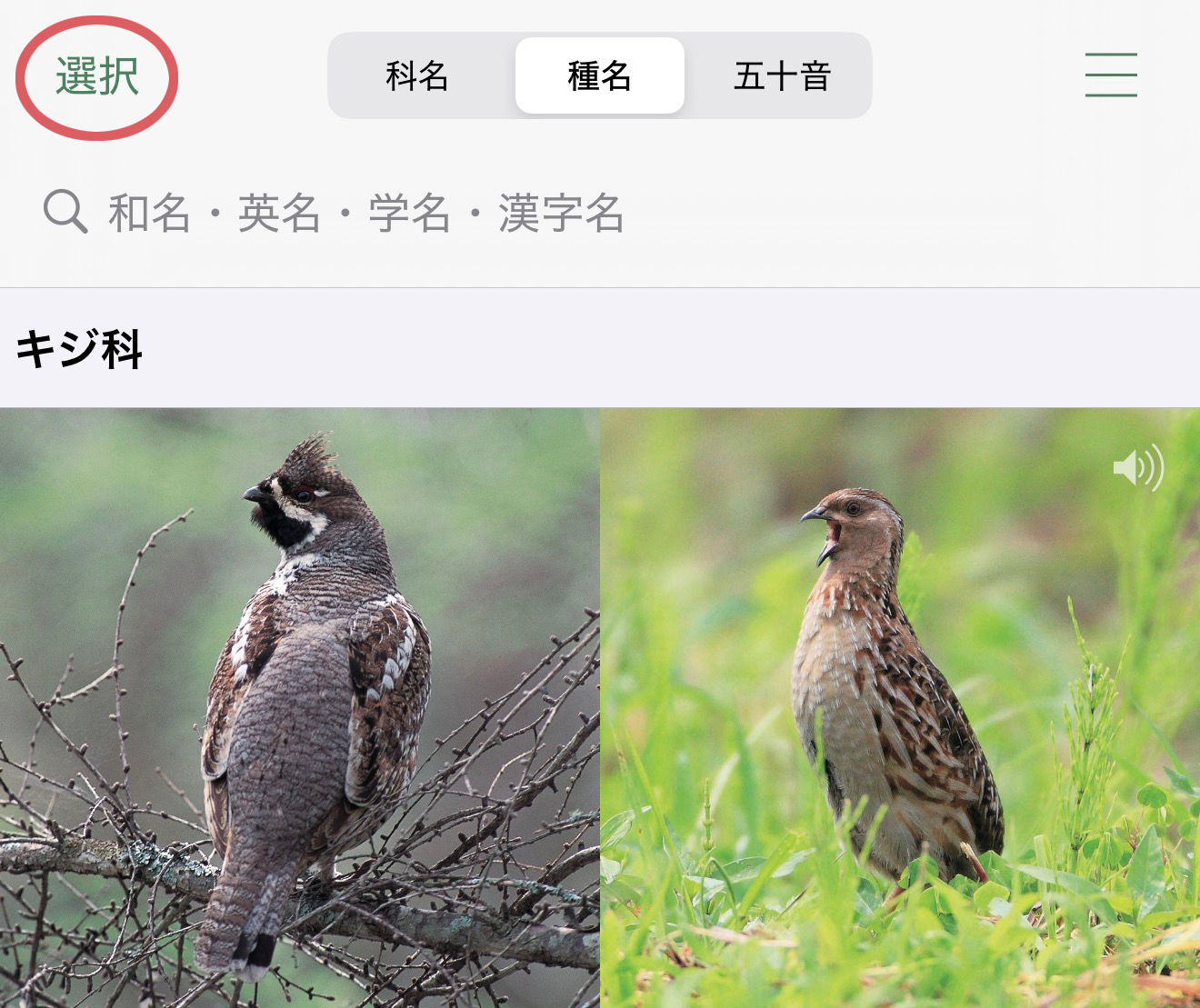 基本的な使い方