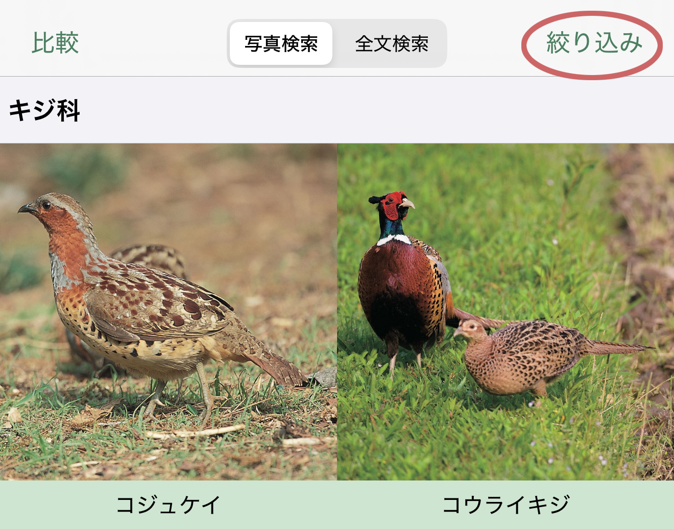 基本的な使い方