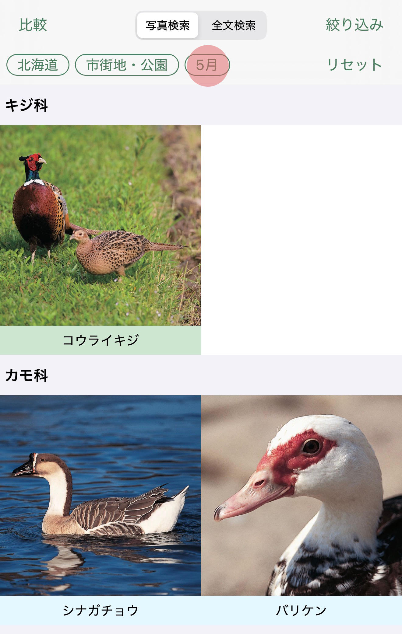 基本的な使い方