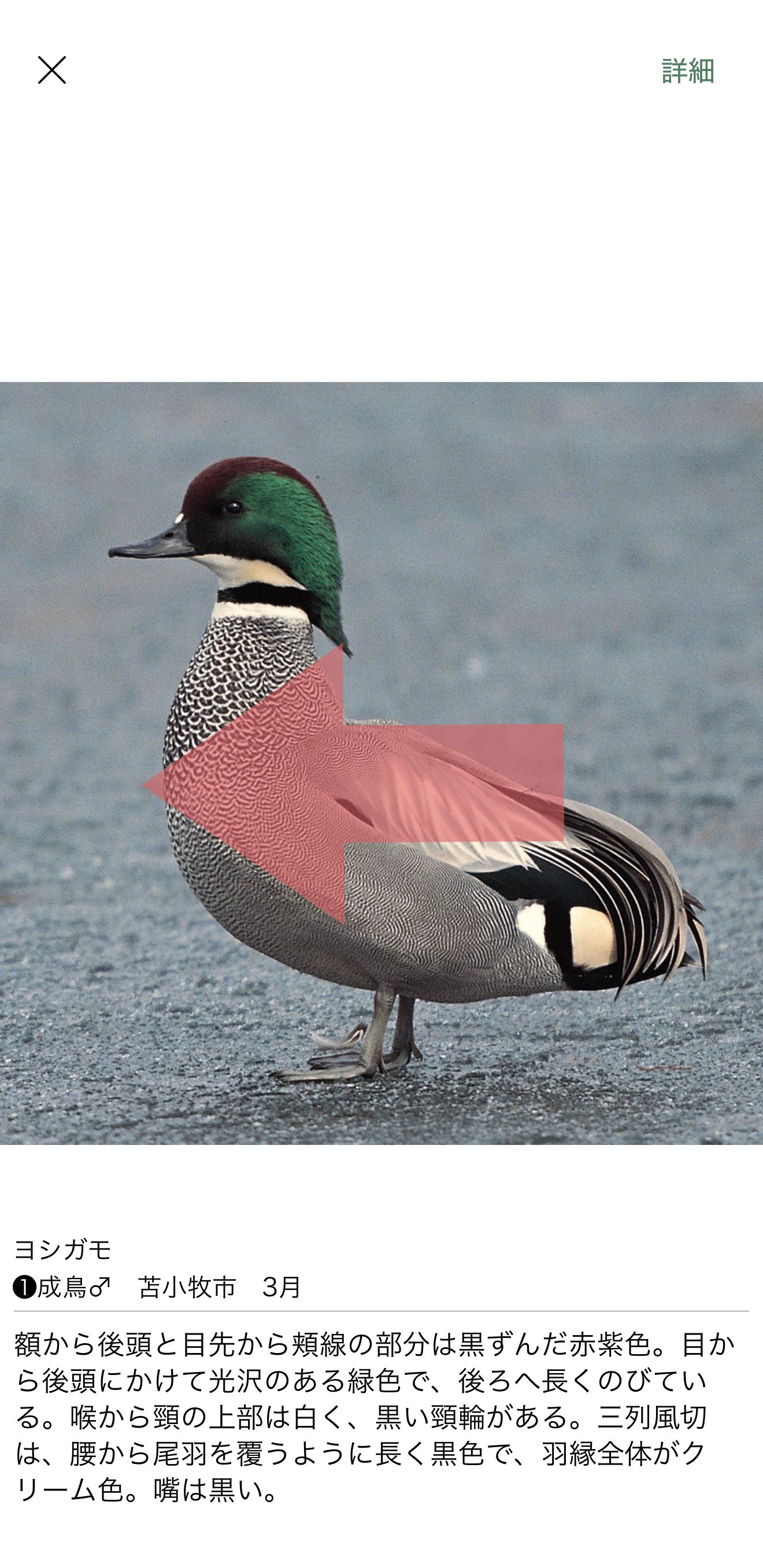 基本的な使い方