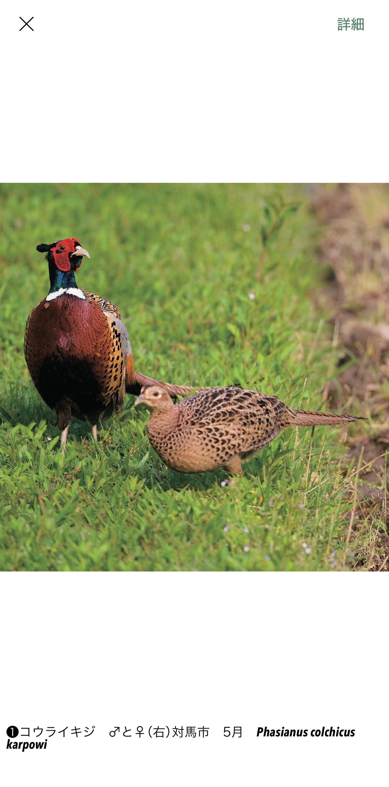 基本的な使い方