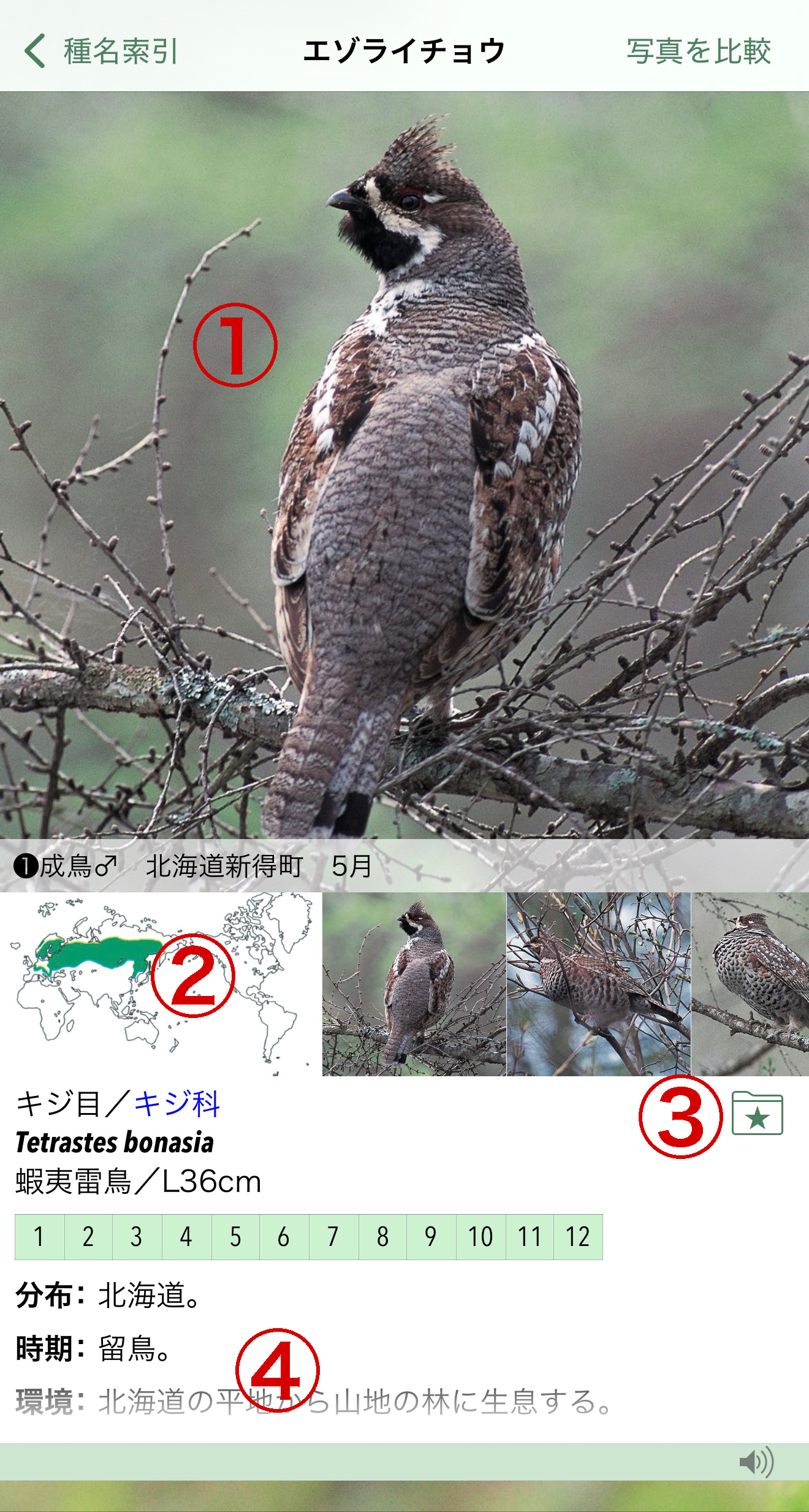 基本的な使い方