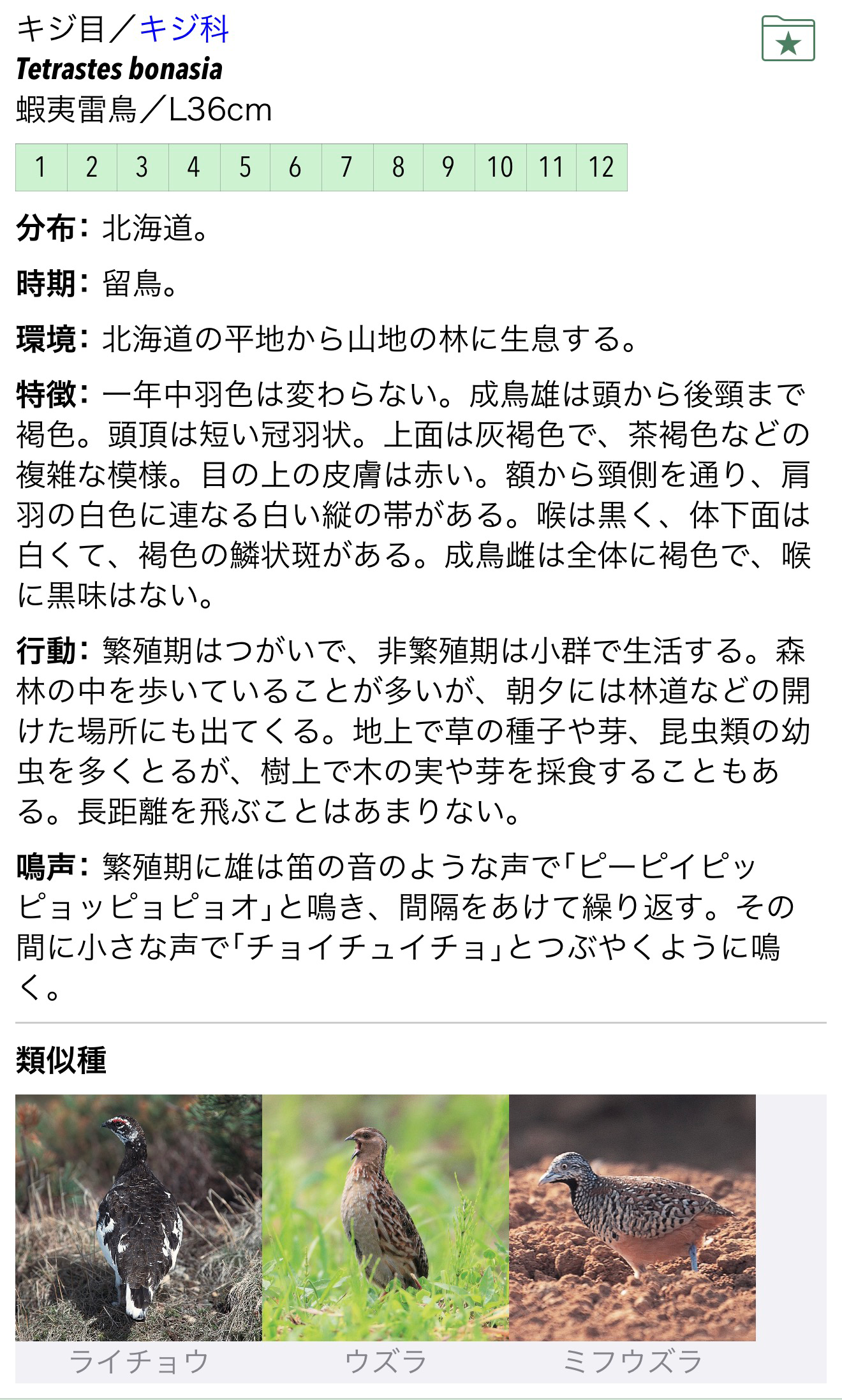 基本的な使い方