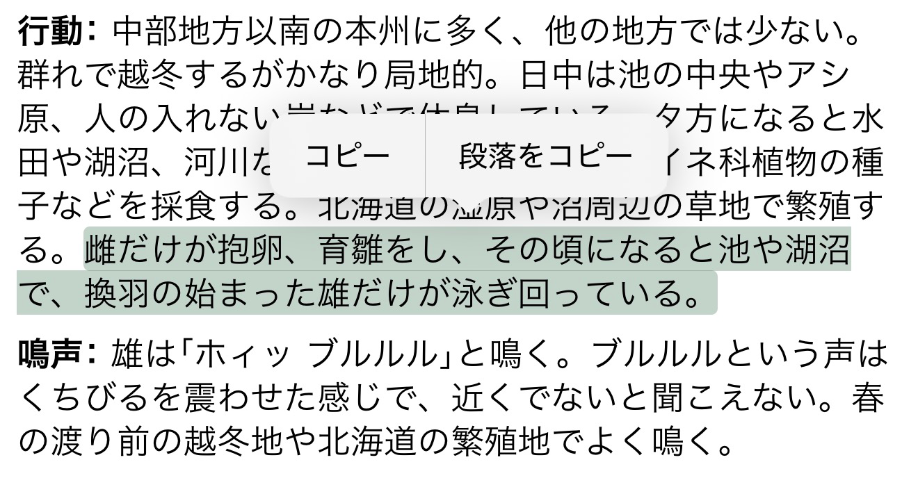 基本的な使い方